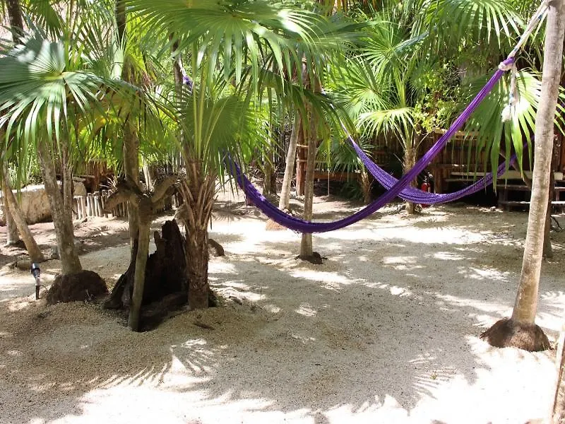 Hotel Maya Cabanas Y Cenote Tulum México