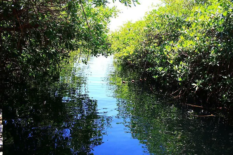 Hotel Maya Cabanas Y Cenote Tulum México